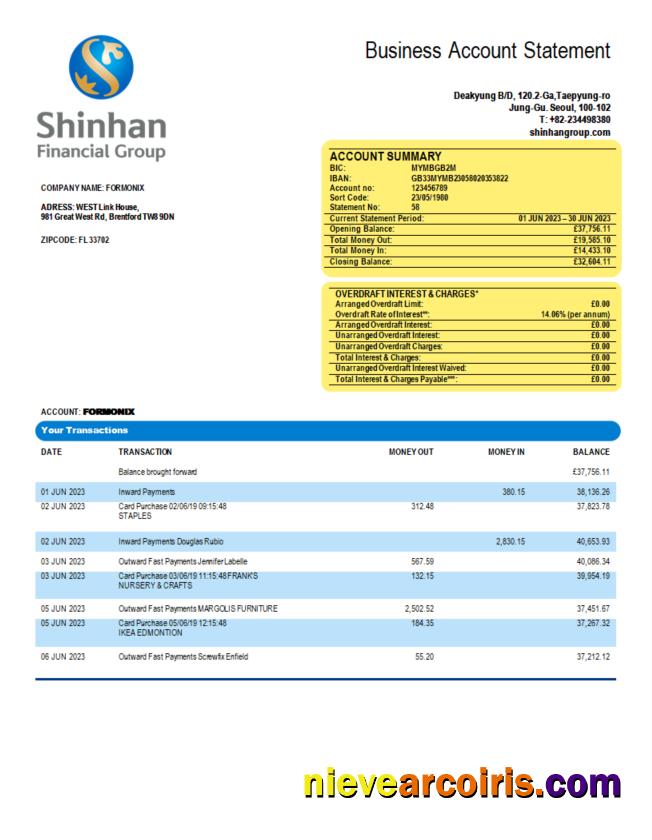 Shinhan Financial Group enterprise statement
